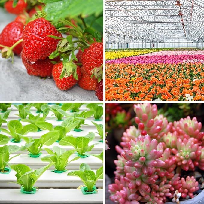 600Watts Equivalent LED Grow Light 2FT Sunlight Full Spectrum Plant Light 3Heads Super Bright Indoor Greenhouse Hydroponics Lamps 100-277V Gardening Sapling Fruit Pot Culture Growth Box Fill Lighting