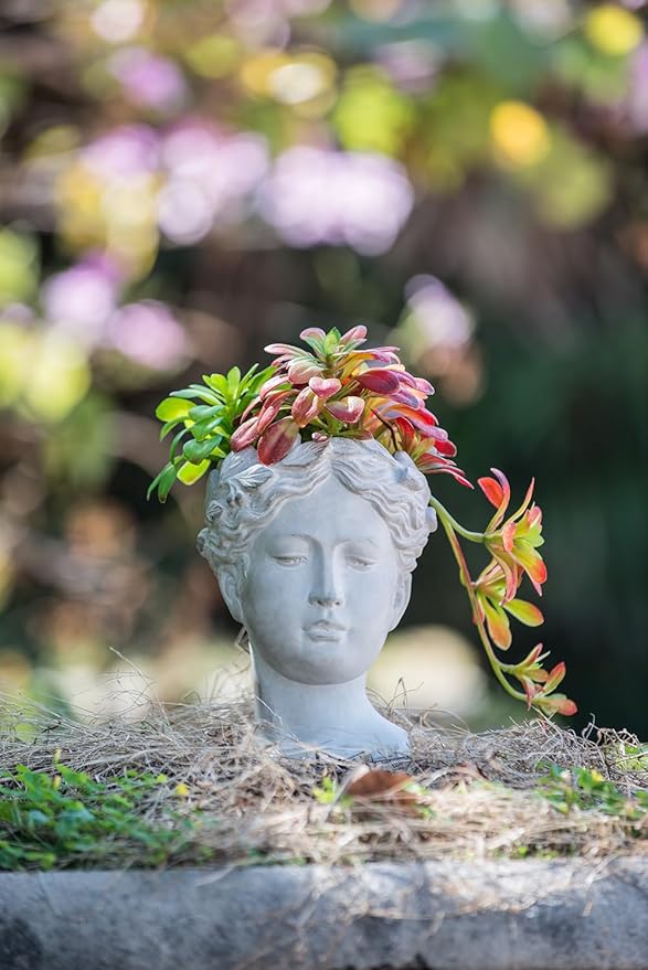 Cement Head Planter Indoor Outdoor Home GDecor D6 x 9