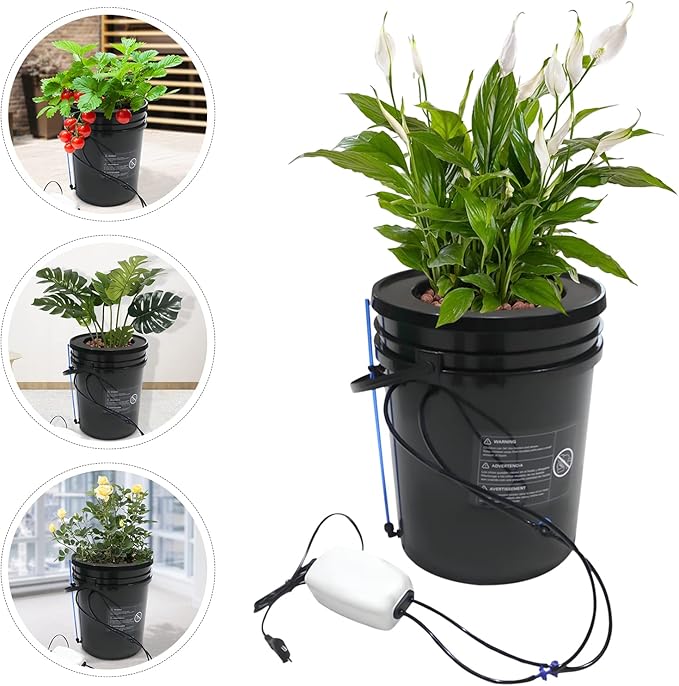 DWC Hydroponics Grow System with Top Drip Kit 5-Gallon Plastic Hydroponic Growing System Kit for Indoor/Outdoor Morus Vegetables