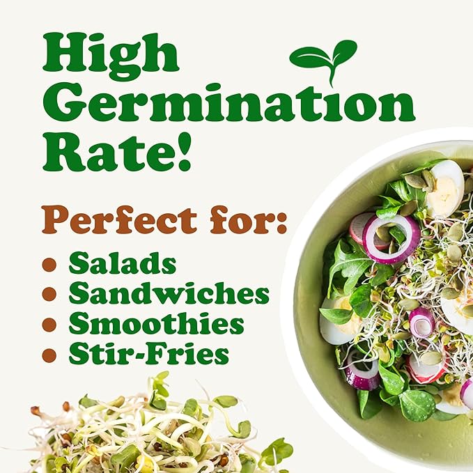 Food to Live - Salad Mix of Sprouting Seeds 5 Pounds Broccoli Clover Radish Alfalfa Kosher Raw Vegan
