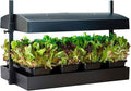 SunBlaster LED Indoor Growlight Garden Home Growing Kit