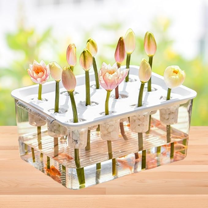 Hydroponic System Growing Kit Microgreens Growing Kit Garden Cabinet Box Easy to Use Indoor Hydroponics Tool for Vegetables White Lid