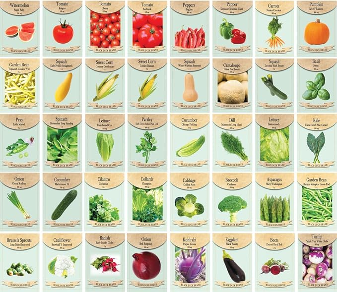 250 Packs Assorted Heirloom Vegetable Seeds 30+ Varieties All Seeds are Heirloom 100% Non-GMO Thousands of Seeds (250 Vegetable Seed Packets)
