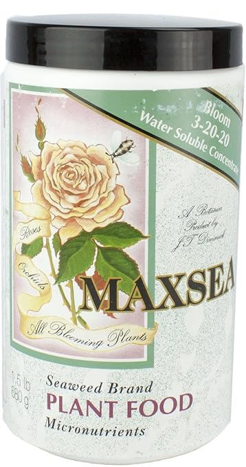 Maxsea All Purpose + Bloom 1.5 lbs