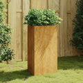 Corten Steel Garden Planter Welded Galvanized Landscape Grid Walls for Raised Garden Bed Fencing with Retaining Wall &amp Wire Cage