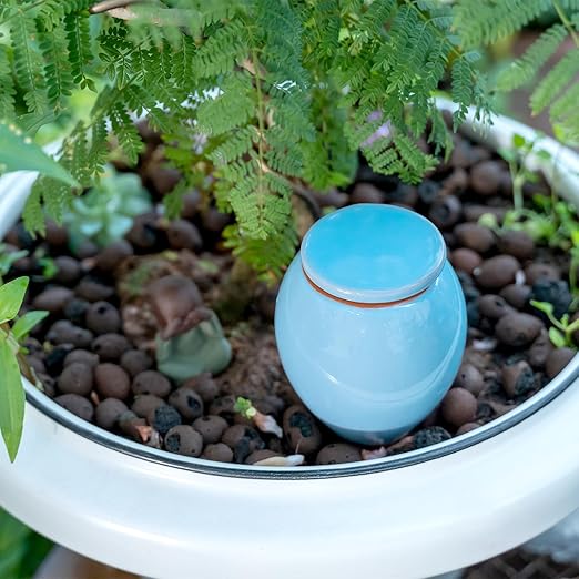 4-Pack Self Watering Planter Insert - 2 Blue and 2 Green Ceramic Watering Globes for Indoor Plants Terracotta Bulbs and Small Plant Pots - 300ml Capacity 1 Weeks Autonomy