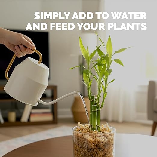 Lucky Bamboo Fertilizer Complete Liquid Lucky Bamboo Plant Food 32 oz (1 Quart)