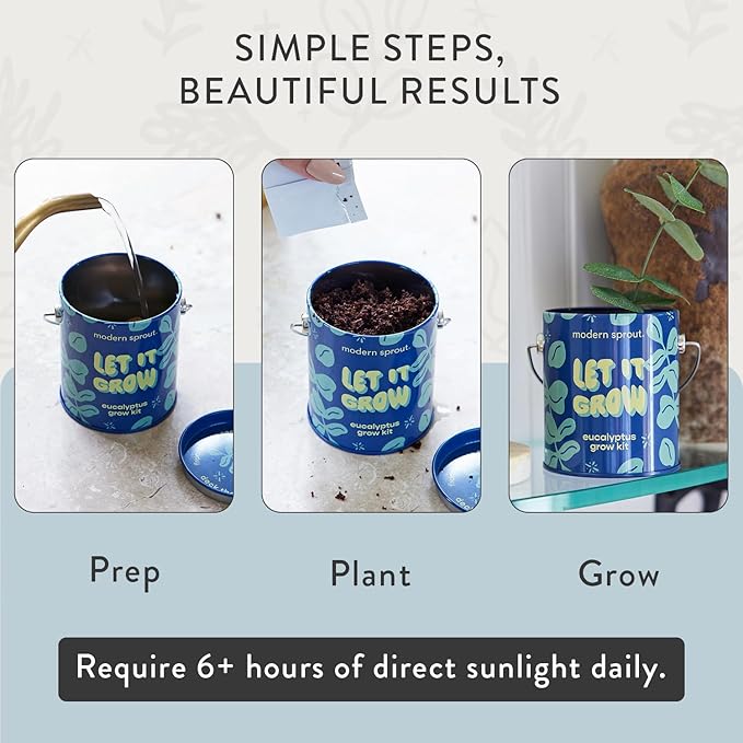 Modern Sprout Complimentary Seed Starter Grow Kits - Spruce Eucalyptus &amp Agave Seeds - Plant &amp Gardening Gifts that Grows with Love (Pack of 3)