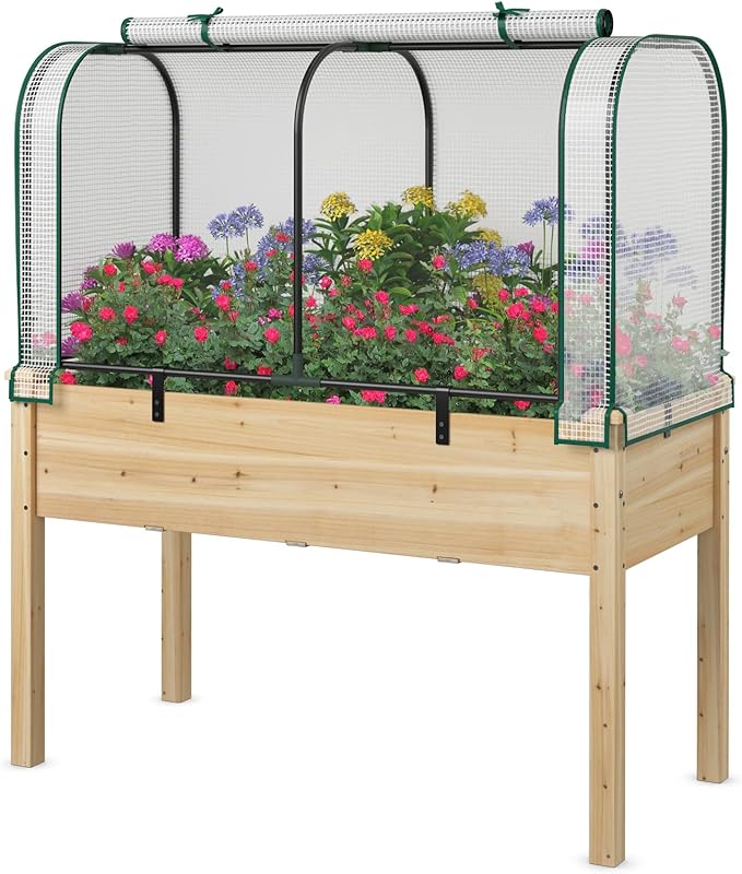 Raised Garden Bed with Greenhouse Waterproof Sun-Protective Green House with Roll-Up Door &amp Electroplated Metal Frame Pine Wood Elevated Planter Box with Drainage Holes(White+Natural)