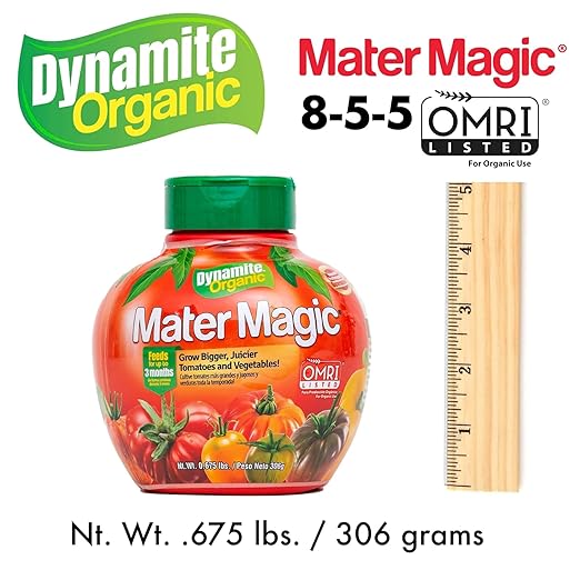 Dynamite Natural and Organic Mater Magic Plant Food 0.675-Pound (4 Qty)