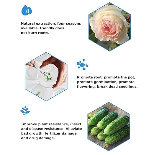 Generic Plant Root Liquid - Liquid Plant Food Liquid Fertilizer 50ml Succulent Plant Food | All-Purpose Solution Nutrient-Rich Plant Fertilizer Indoor Potted Plants for Live Houseplants