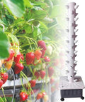 Systems of Hydroponic Cultivation for Interior Gardening - Systems of Vertical Culture of 15 -Layer Automatic Irrigation and 45 Plants for Fresh Herbal Garden Fruits Vegetables Vegetables
