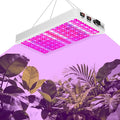 Full Spectrum LED Grow Light for Indoor PlantsPlant Lamp with Hanging Kit Suitable for Seedlings Succulents Flowers &amp Vegetables (B1-1000W)