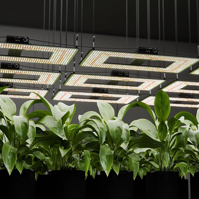 240W LED Grow Light with LM301H EVO &amp Smart Control Dimmable Full Spectrum Plant Growing Lamp for 4x2 ft Tent Timer &amp Sunrise/Sunset Simulation High Yield for Veg &amp Bloom