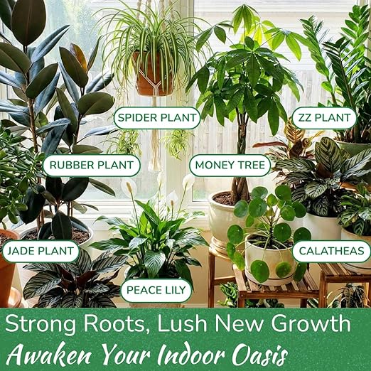 Indoor Plant Food by Houseplant Resource Center - Organic Liquid Fertilizer for Pothos Peace Lily Monstera Cactus and More - 8 oz