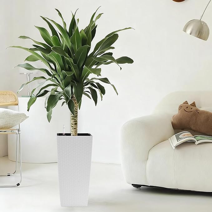 Square Planter for Indoor or Outdoor Use 22 Inch High Faux Rattan Flower Pot with Automatic Watering System for Porch Patio Backyard Makes Keeping Flowers Easier (Pack of 2 White)