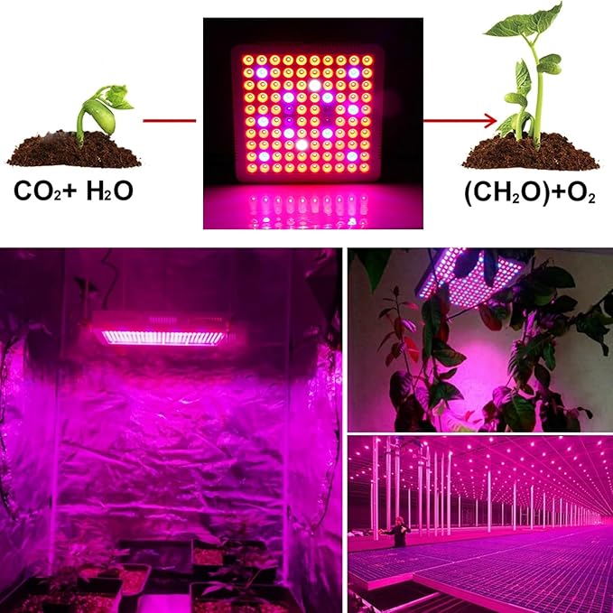 1000w LED Grow Light Full Spectrum Plant Grow Light with Veg &amp Bloom Switch for Hydroponic Indoor Plants LED Grow Lamp with Daisy Chain for 2x2/3x3 Grow TentBlack