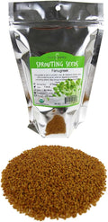 Organic Fenugreek Sprouting Seeds - Seeds for Planting Hydroponics Growing Sprouts Grinding for Spices &amp More (1 Lb)