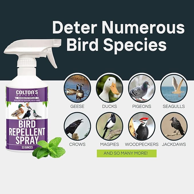 Bird Repellent Spray (32 OZ) Deter Birds from Outdoor Surfaces Garden Areas Deterrent Natural Woodpecker Pigeon and More Natural