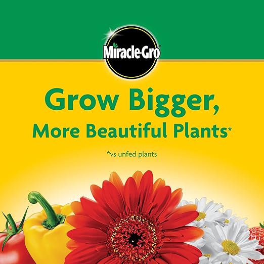 Miracle-Gro Water Soluble All Purpose Plant Food - Fertilizer For All Indoor or Outdoor Plants including Roses Flowers Vegetables Houseplants Trees and Shrubs 6.25 lbs.