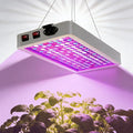 Full Spectrum LED Grow Light for Indoor PlantsPlant Lamp with Hanging Kit Suitable for Seedlings Succulents Flowers &amp Vegetables (B2-1000W)