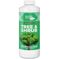Bloom City Tree &amp Shrub Fertilizer – Liquid Plant Food for Stronger Roots Fuller Foliage &amp Healthy Landscape Growth 32 oz