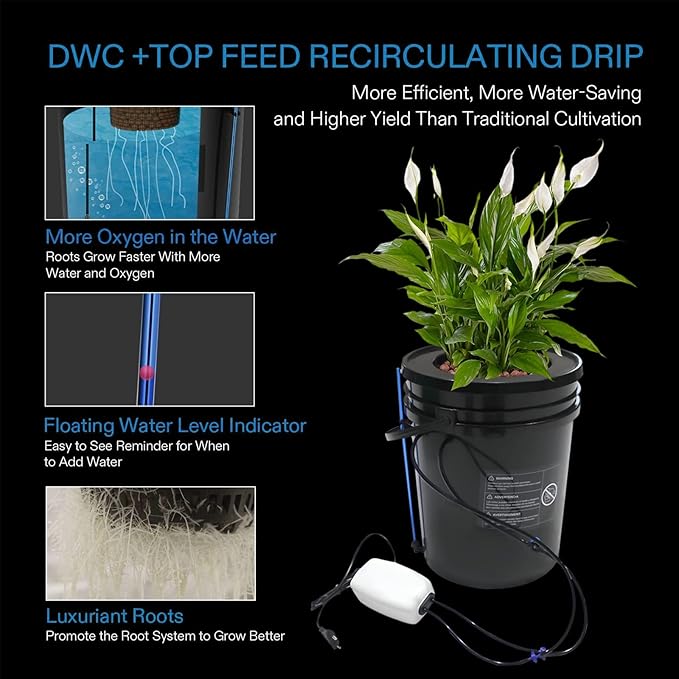 DWC Hydroponics Grow System with Top Drip Kit 5-Gallon Plastic Hydroponic Growing System Kit for Indoor/Outdoor Morus Vegetables