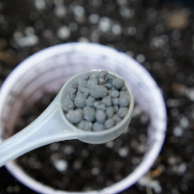 Start | Mycorrhizal Fungi &amp Organic Kelp Meal Soil Booster for Transplant and Top Dressing | Root Enhancer and Living Soil Booster