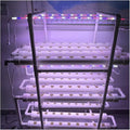 Hydroponics Growing System Smart Planter Frame with Full Spectrum LED Lights Automatic Timer Intelligent Garden ToolsHydroponic Growing Kits &amp Systems