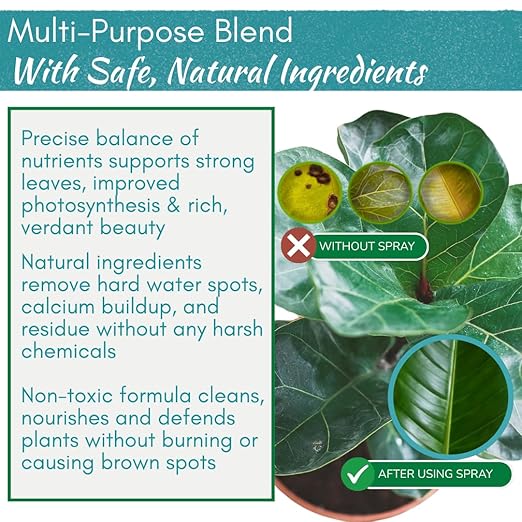 Houseplant Leaf Shine Spray – All-Natural Leaf Cleaner and Gloss for Healthy Shine &amp Better Photosynthesis | Perfect for House Plants and Foliage | 8 oz