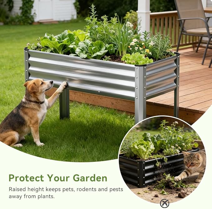 COMHOMA 2 Pack Raised Garden Bed with Legs 4x2x2.5ftLarge Elevated Galvanized Metal Planter Box with Drainage HolesOutdoor Growing Kit with Gloves Tools for Backyard Patio LawnSliver