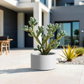 Heavy Duty Corten Steel Round Raised Garden Bed Kit 15.5 Dia. x 12 H. Pre Rusted Metal Planter Box for Vegetables Flowers Herbs White Ideal for Outdoor Gardening