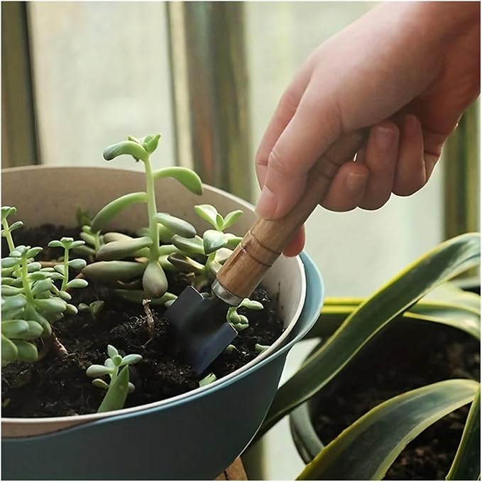 Garden Tool Set Mini Gardening Kit with Rake Trowel and Shovel for Succulent Plants and Soil Cultivation