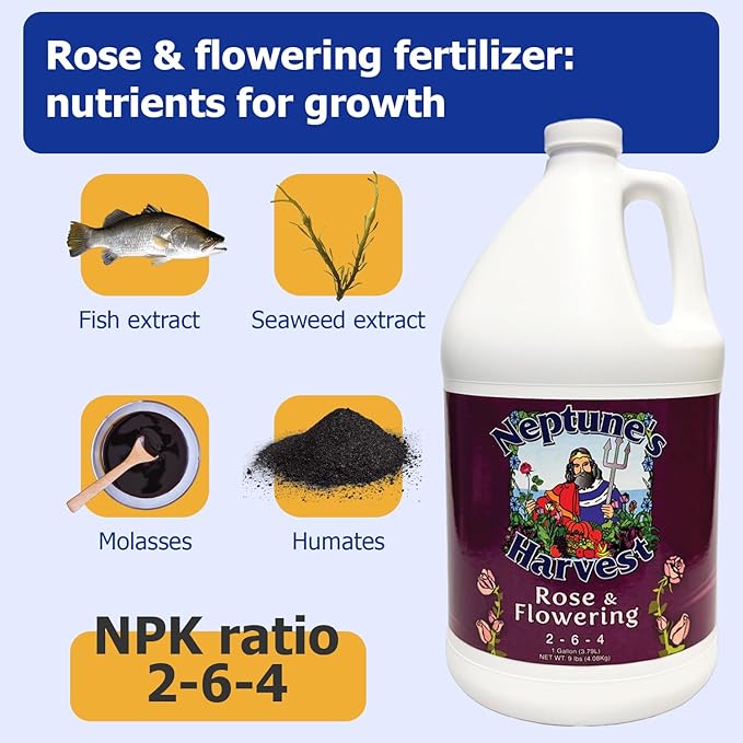 Neptune's Harvest Rose &amp Flowering Fertilizer (2-6-4) - 1 Gallon - Organic Liquid Rose Food for Vibrant Blooms &amp Growth - Promotes Healthy Foliage - Ideal Fertilizer for Indoor &amp Outdoor U
