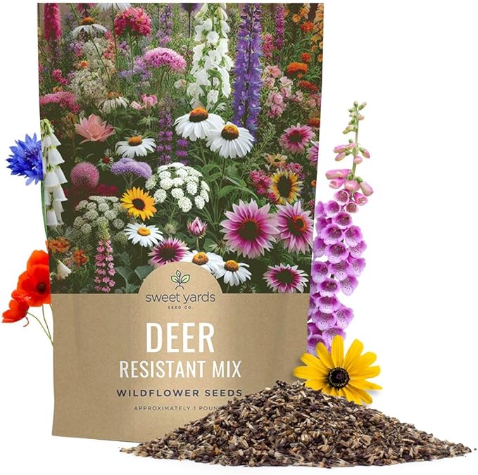 Deer Resistant Wildflower Seed Mixture - Bulk 1 Pound Bag - Over 240000 Deer Tolerant Seeds - Open Pollinated and Non GMO