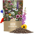 Deer Resistant Wildflower Seed Mixture - Bulk 1 Pound Bag - Over 240000 Deer Tolerant Seeds - Open Pollinated and Non GMO