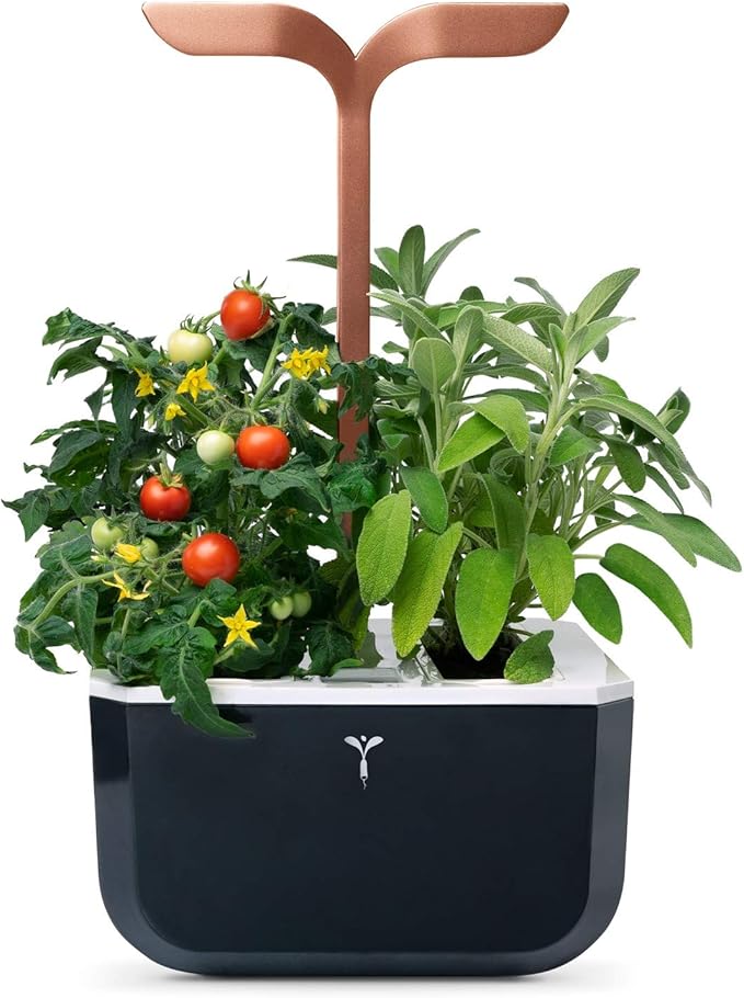 Veritable Exky Smart Indoor Garden Black Copper