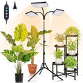 3Head Grow Light with Stand 75 Watt Bright Enough and Big Coverage Natural Sunlight Full Spectrum Plant Growing Lamps for Tall&ampLarge Indoor Plants Bonsai Tree 4/8/12/16/20H 5-Mode Timer