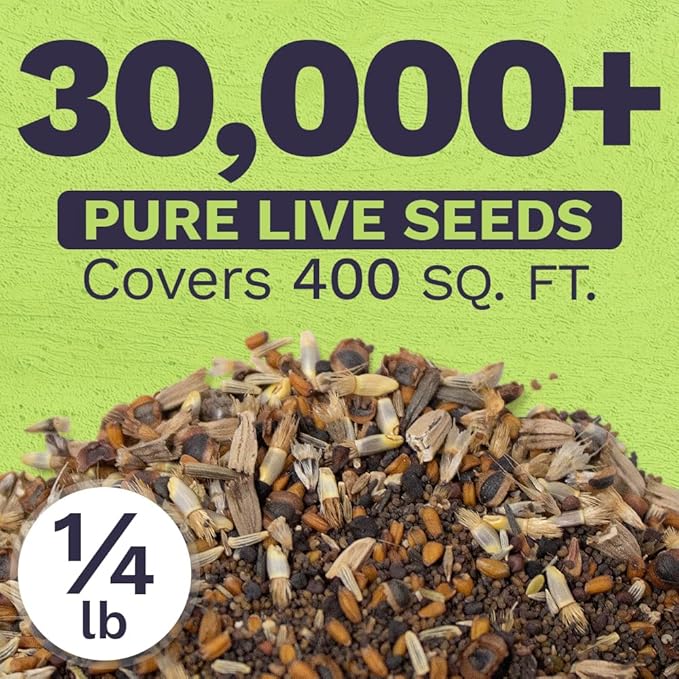 Sweet Yards - Northeast Wildflower Seed Regional Mixes - Bulk 1/4 Pound Bag - Over 30000 Native Seeds - Open Pollinated and Non GMO Varieties for New York Virginia Pennsylvania Maine and More!