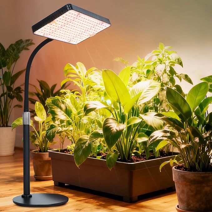 2026 Desk Grow Light Bright Full Spectrum Grow Lights for Indoor Plants Bonsai Seed Starting 4/8/12/16/20H Timer 25 Watt Power Draw NO Need Adapter 16-24 Height Adjustable