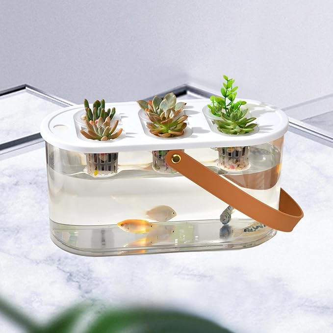 Hydroponic Grower Box and Handle 6 Holes Transparent Hydroponic Planting Box for Plants and Fish Home Cultivating White