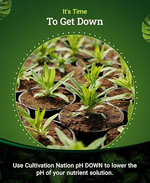 FoxFarm Cultivation Nation pH Down for Plants’ Nutrient Solutions - Formulated with Citric Acid for Adjustment - Ideal for Soil &amp Hydroponics Lowers pH Levels of Nutrient Solution - 1 Quart