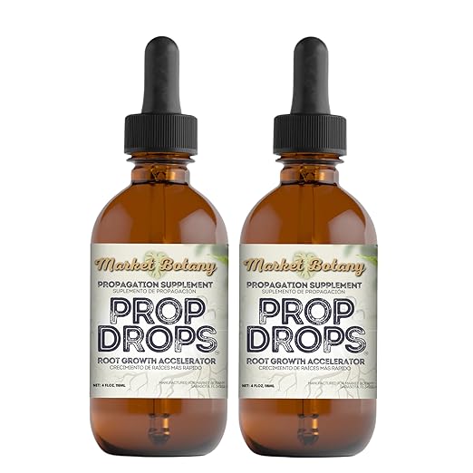 Prop Drops by Market Botany | 2-Pack Propagation Plant Drops (2X 4oz) | Promote Root Growth &amp Prevent Repot Shock
