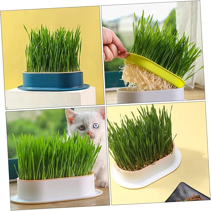 VICASKY 4Pcs Hydroponic Catnip Planter Box Set Soilless Cat Grass Growing Kit Detachable Tray for Indoor Cats Creative Design