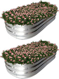 Raised Garden Bed Raised Beds for Gardening Outdoor for Vegetables and Flowers Ground Planter Box Galvanized Metal Planter Grow Garden Box4x2x1ft