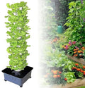 TIST Hydroponic Kits Hydroponic Growing Systems Vertical Plants Hydroponic Smart Indoor Gardens Indoor Gardening Systems for Home Kitchen Gardening Beginner Hydroponics System