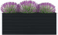 Raised Garden Bed 63x31.5x17.7 Galvanized Steel Anthracite SE101017