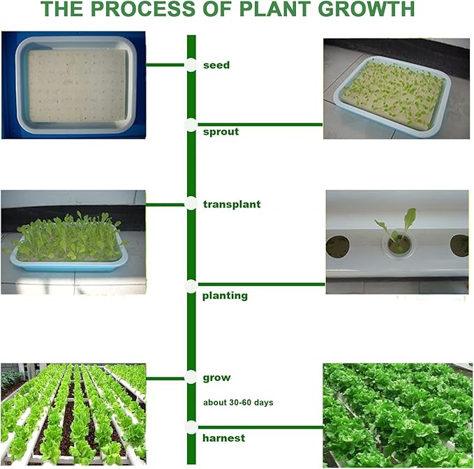 INTBUYING Hydroponic 36 Holes Plant Site Grow Kit Garden System Vegetable Horizonal with Wheel 110V Pump-4 Pipes 2 Layer