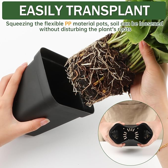 BTPLASTIK Square Nursery Pots 5.5 Inch 50Pcs Plastic Sturdy Reusable Seedling Pots with Drainage Holes Garden Flower Planters for Indoor/Outdoor Transplanting Succulents Cuttings Black