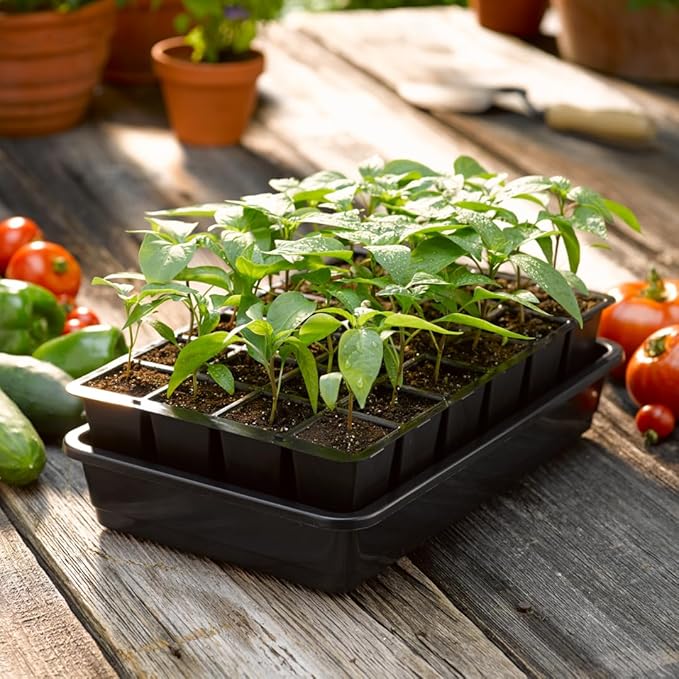 Gardener's Supply Company GrowEase Self Watering Seed Starting Kit | 24- Cell Holds 3 Quarts of Soil | Capillary Mat Cover and Water Reservoir Included 100% Recycled Plastic